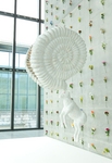 ammonite-origin.jpg